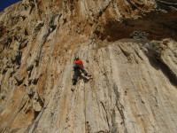 SNV80478.JPG